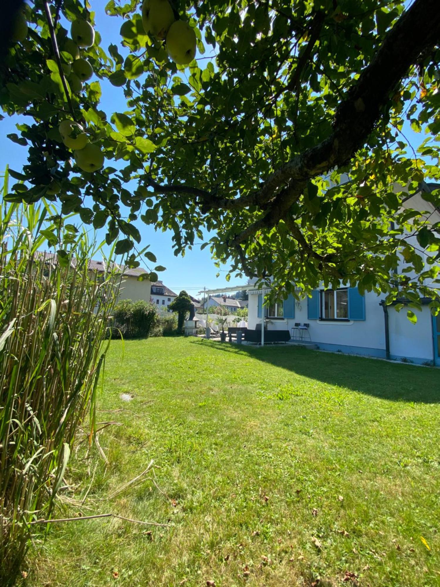 Big Apartment With Garden 克拉根福 外观 照片